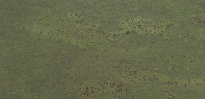 Väggkork Exclusive Green 3MM