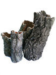 Korkrör, rå bark - 2